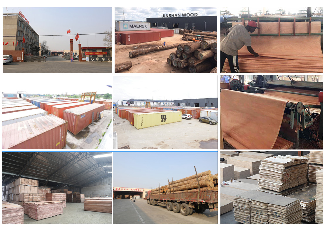 Usine(图1)